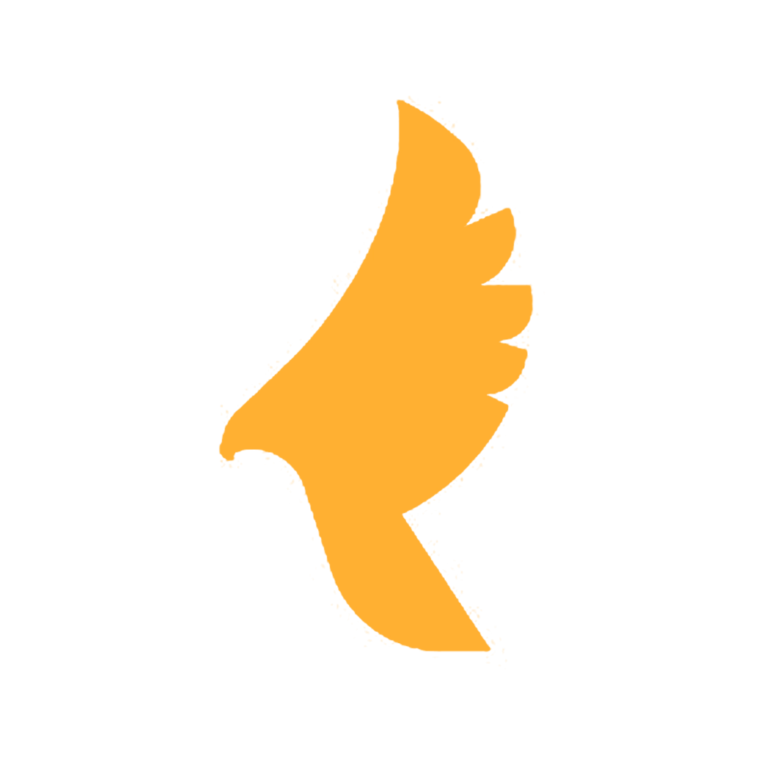 شرکت خدمات بار بین المللی سریع بار کیهان SBK